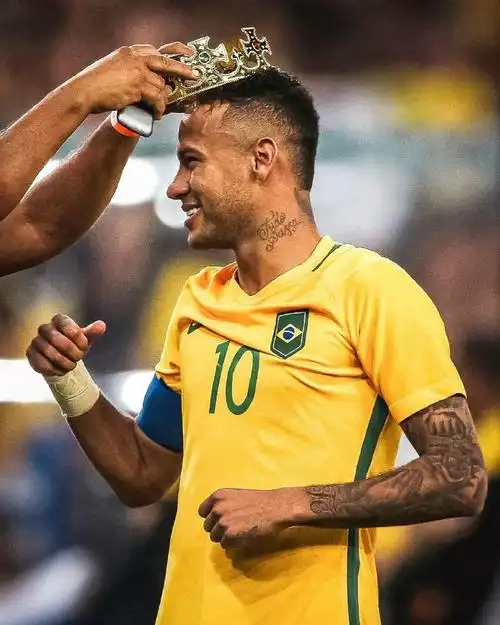 方案的目的 方案的目的