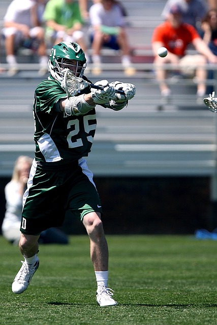 而霍芬海姆 而霍芬海姆